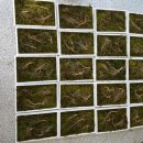 천종농장 이미지