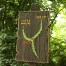 [2. 24 토요걷기] 우면산-양재시민의숲, 강남오솔길 따라 봄 맞으로 갑니다. 이미지