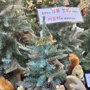 고속 K-몰 이미지