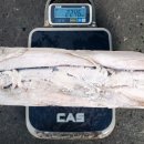 서해판매 이미지