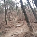 덴코스