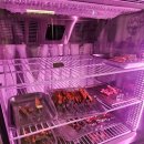 본가 | 인천 주안맛집 주안역 양꼬치 무한리필 양본가 솔직후기