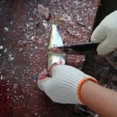 최초 거북선길 이미지