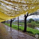 기차마을전통시장(명품관옆) 이미지