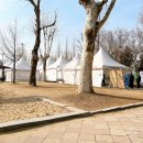 신트리약국 이미지