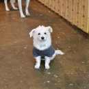 멍스테이션 이미지