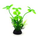 아쿠아테라 수족관 이미지