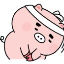 빈체로 휘트니스 이미지