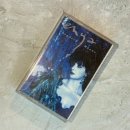 대학뮤직랜드 | 엔야<Afer Ventus>와 2개월간 도서관에서의 겨울이야기