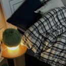 익산자취왕 네이버블로그
