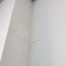 바이스클린