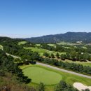 블루원용인CC 이미지