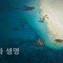 조화엔지니어링주