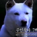 세진1호 네이버블로그