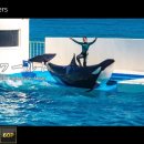 항구목장 | 치바 여행 코스 ｜ 마더 목장, 카모가와 시월드 &amp; 로컬 해산물 맛집 추천