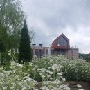 황새울로 이미지