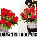 무지개플라워 - 영등포구 국제금융로6길 33 | 무지개플라워
