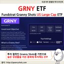 월가상회 | 톰리가 만든 미국 주식 액티브 ETF GRNY(3천만 원 투자 후기, 수익률)