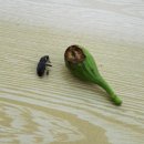 재림농장 이미지