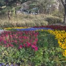 인천광역시 수봉궁도장 기타 | 주말 추천: 인천대공원 벚꽃 &amp; 수봉공원 야경 즐기기