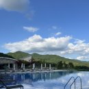 산새목장 | [세이지우드 홍천] 강원도 5성급 호캉스 3박4일-인피니티풀 수영장, 피트니스, 산양목장