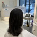 선정미용실 - 북구 | [대구 남산동 미용실] 오렐리헤어 인생 레이어드컷 후기ㅣ선정원장님