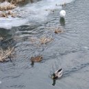 홍제역(3) 이미지