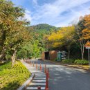 앞산케이블카 | 10월의 대구, 앞산공원 방문기 (+케이블카 후기)