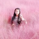 서광리-10 이미지