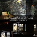 바당봉봉 이미지