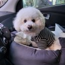 루이야학교가자 이미지