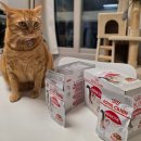 로얄PC(인-287호) | [공지] 네이버 펫 바우처 혜택 한눈에 보기! - 로얄캐닌 고양이 습식 파우치를 저렴하게 냠냠~(네이버...