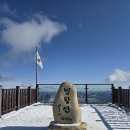 평창 발왕산 겨울 산행! 설경이 황홀한 국내 겨울 등산 명소