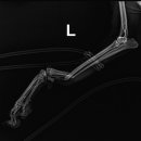 사송 동물 메디컬센터 이미지