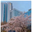 유앤아이부동산중개사무소 이미지