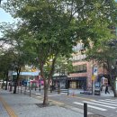 복정동 중앙노인회관 | 노인스포츠지도사 그라운드골프 특별과정 연수 후기 3(연세대학교)