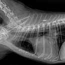 해와달동물병원 이미지