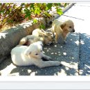 매동둘레길 입구 이미지