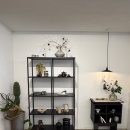 (주)아인당구카페 | 충북 단양에 이런 곳이? 단양 애견동반 느좋 카페 '야미담' 대강추 후기