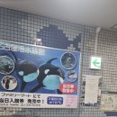 가성수족관 이미지