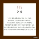 적성어린이집 이미지