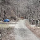 숲속의 펜션 이미지