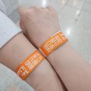 오 마이 캣 | [블챌] 일산 궁디팡팡 캣 페스타 마지막 3일차 사냥 다녀왔습니다!🫡