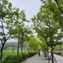 성남환경교육사회적협동조합 이미지