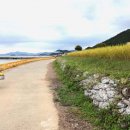 강진베이스볼파크펜션 이미지