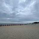 도초면 한발5교 | 조개 잡을 수 있는 삼척 용화해수욕장 파라솔대여료 및 스노클 물놀이 총정리