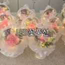 꽃풍선 & 버블 플라워 | led꽃풍선특강/커스텀버블플라워.꽃풍선/평생교육바우처사용기관.실습기관/02-465-5579