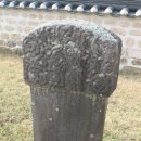 홍산객사 은행나무 | [충남/부여] 홍산 객사