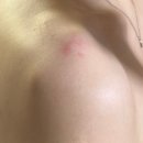 11500-5-61-02 | 월간 이단비 02