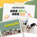 (주)바우라움 수원 캠퍼스 이미지